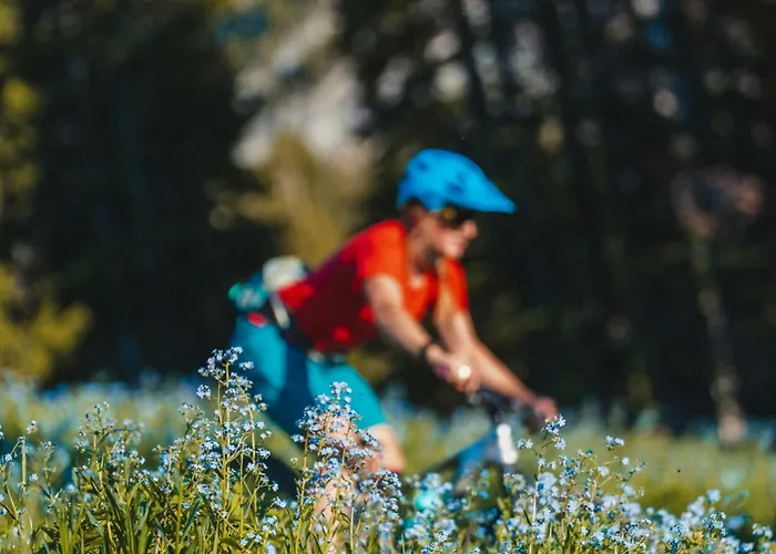 Grand Roc A - 3 Bedrooms Next To Skilift - By Cozee Lägenhet